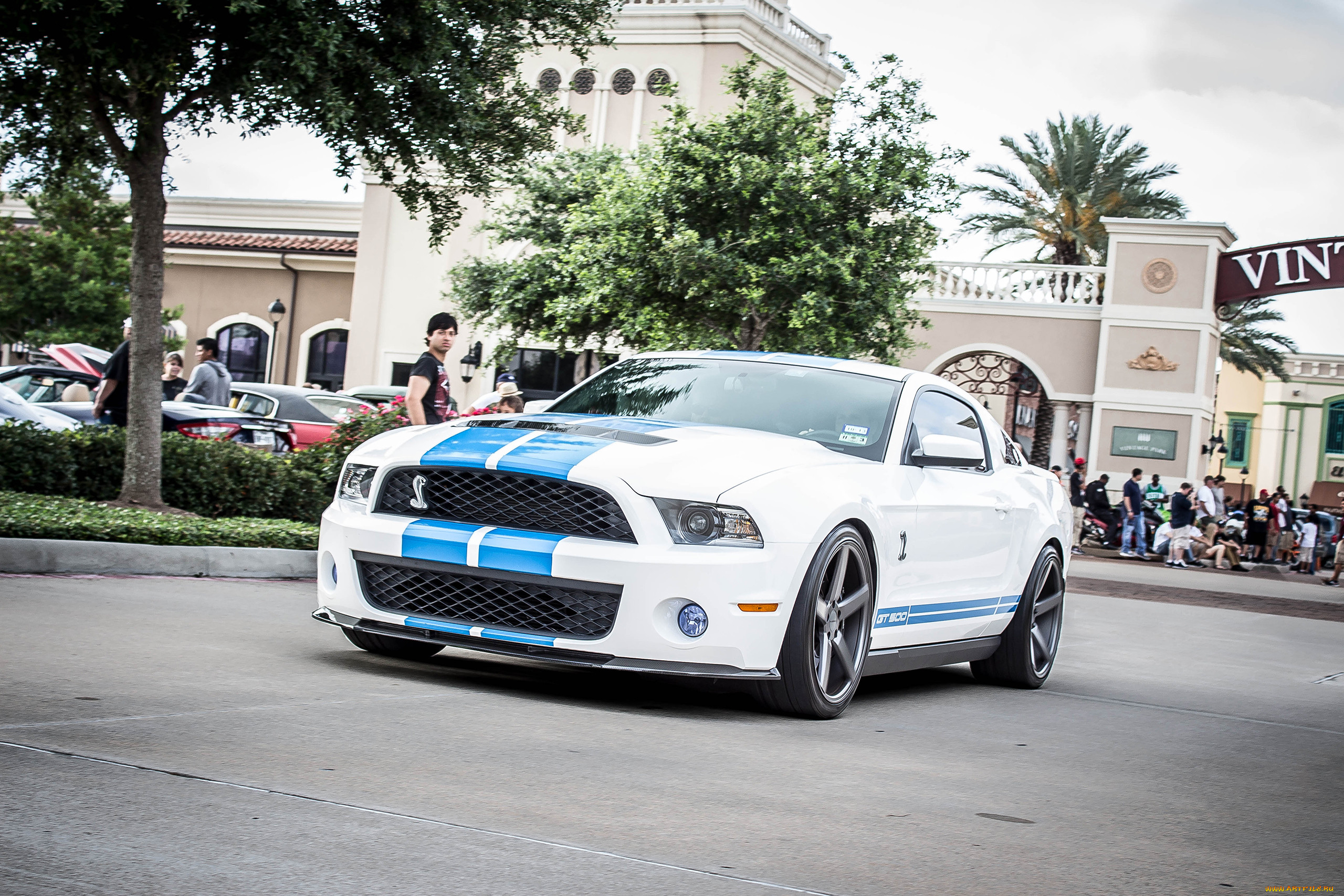 , , , , shelby, ford, gt-500